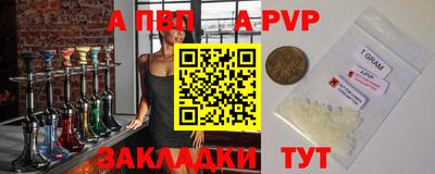 СК Гатчина
