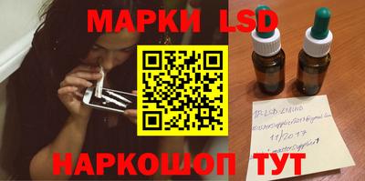 СК Гатчина