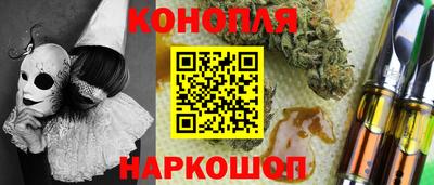 СК Гатчина