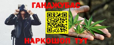 СК Гатчина
