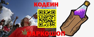СК Гатчина