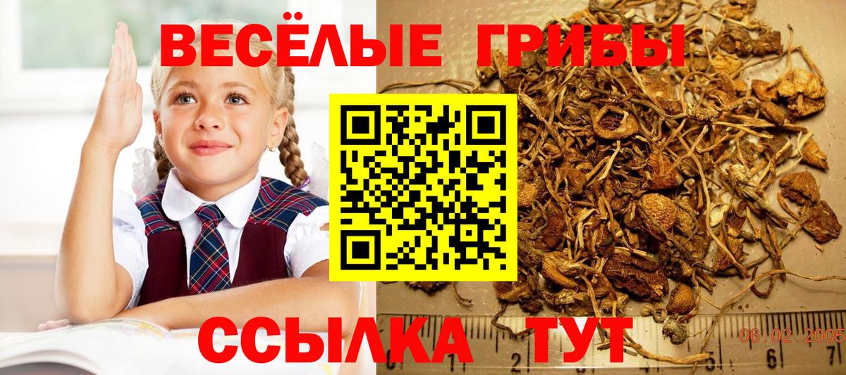 Псилоцибиновые грибы ЛСД Белорецк